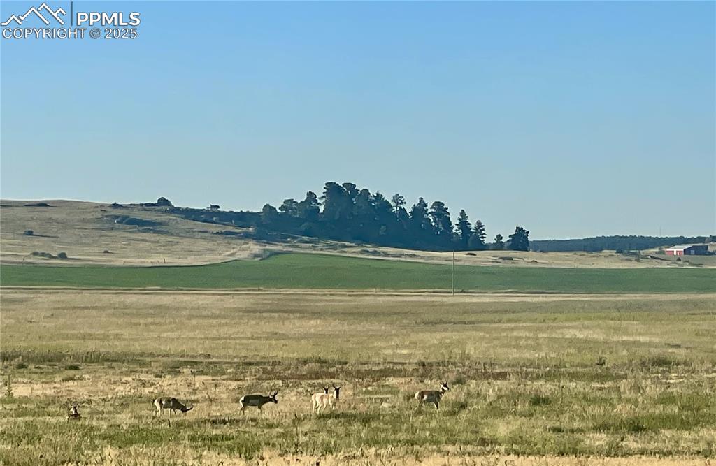 Lot 1 Craven Place Elbert CO 80106
