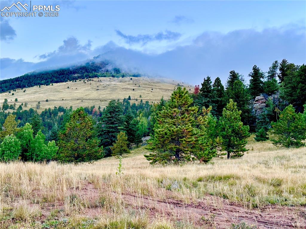 908 Penrose Circle Cripple Creek CO 80813
