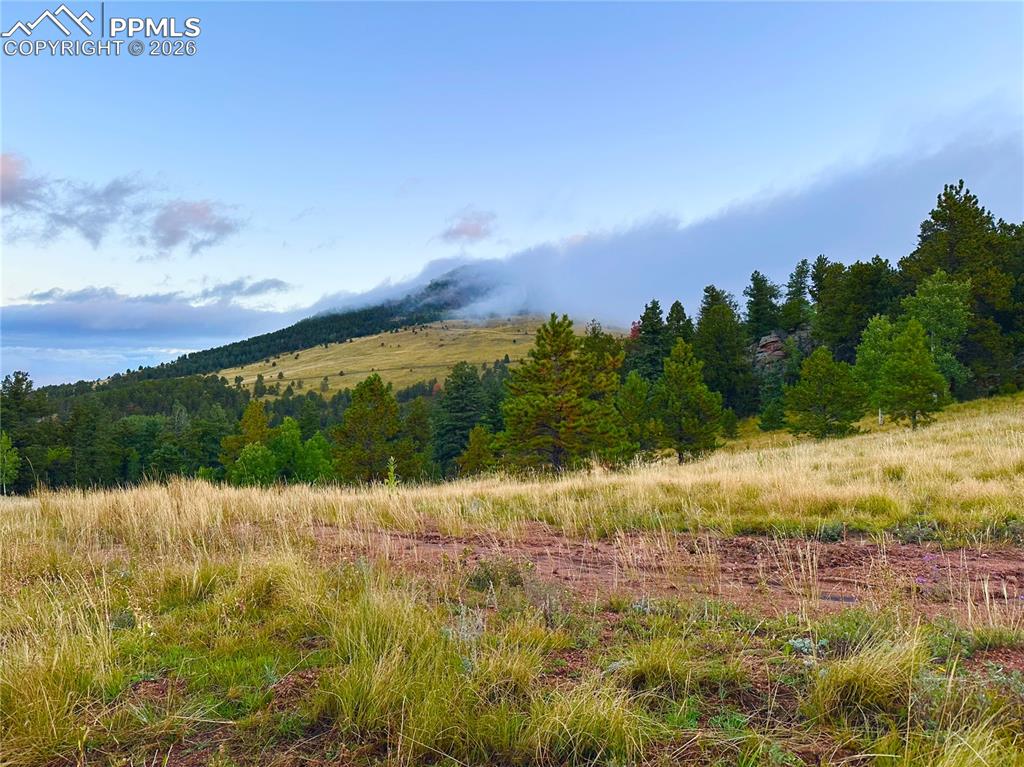 908 Penrose Circle Cripple Creek CO 80813