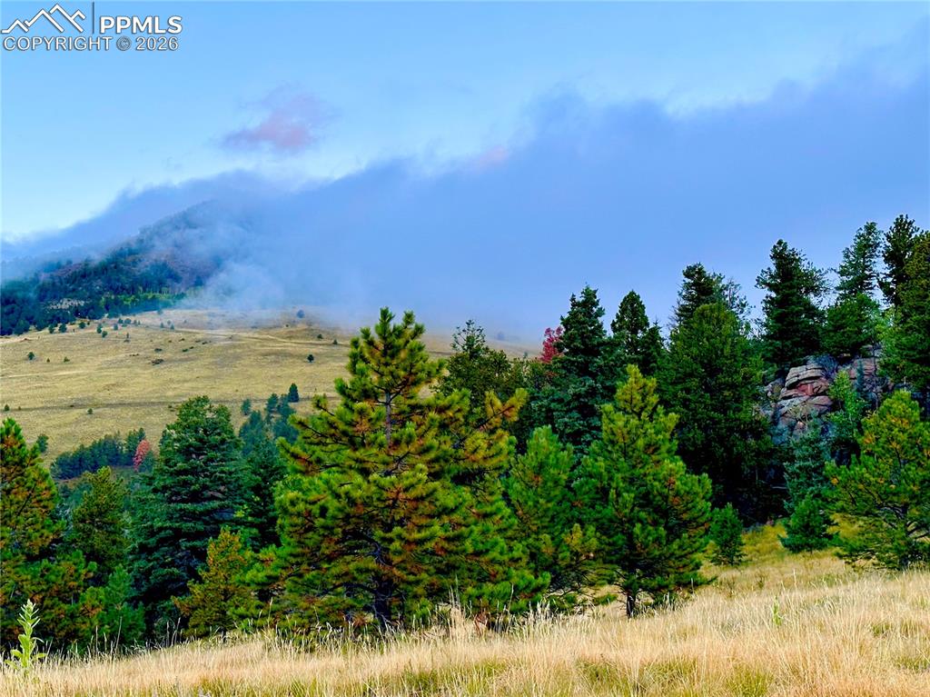 908 Penrose Circle Cripple Creek CO 80813