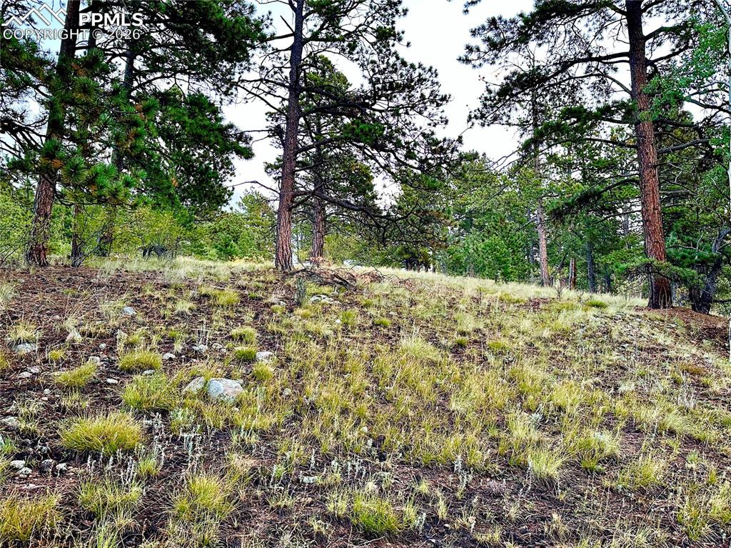 908 Penrose Circle Cripple Creek CO 80813