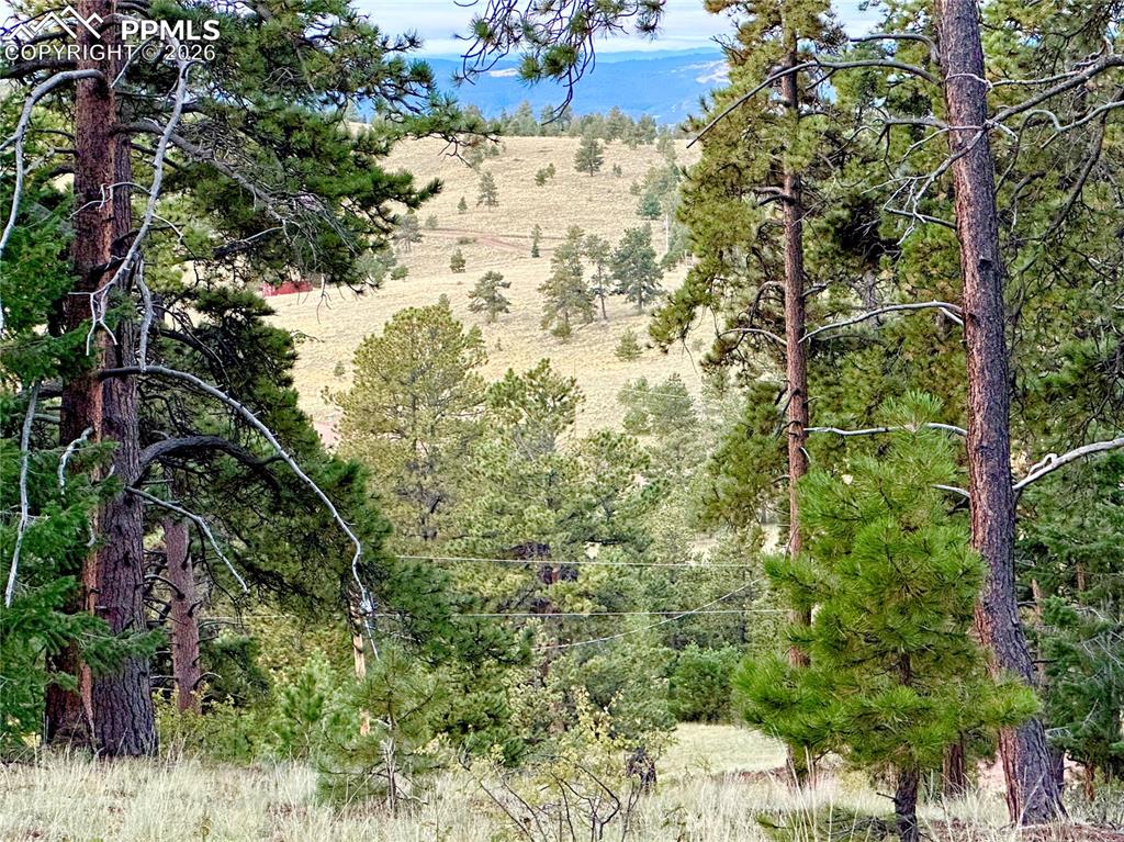 908 Penrose Circle Cripple Creek CO 80813