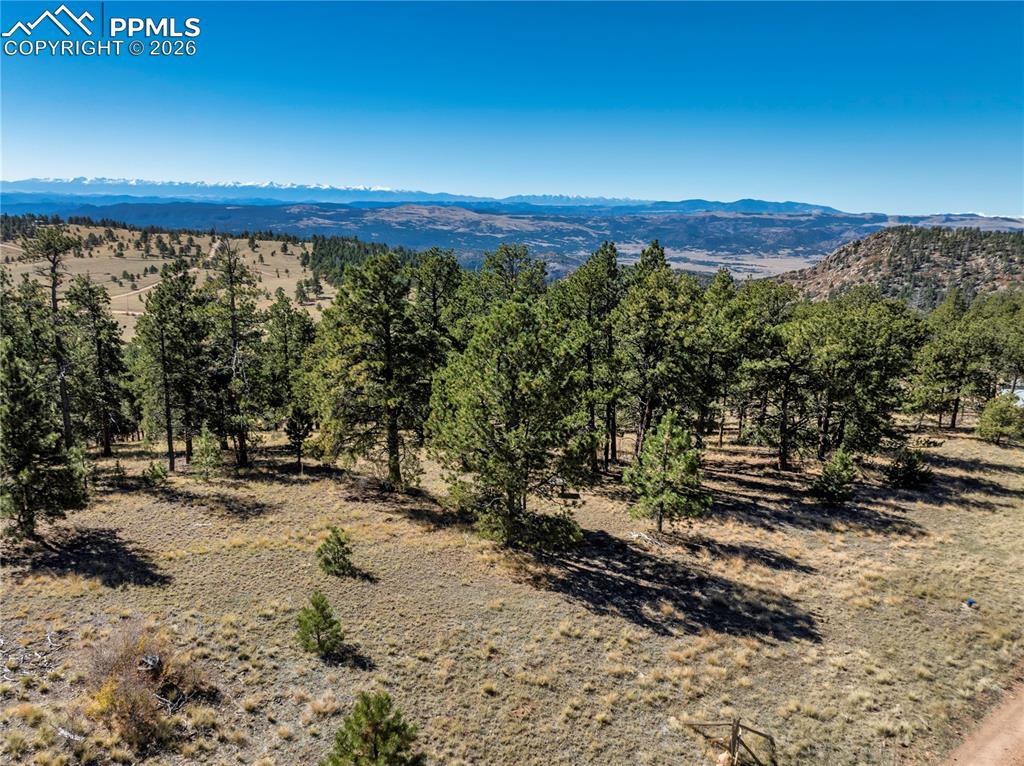 908 Penrose Circle Cripple Creek CO 80813