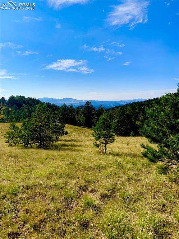908 Penrose Circle Cripple Creek CO 80813
