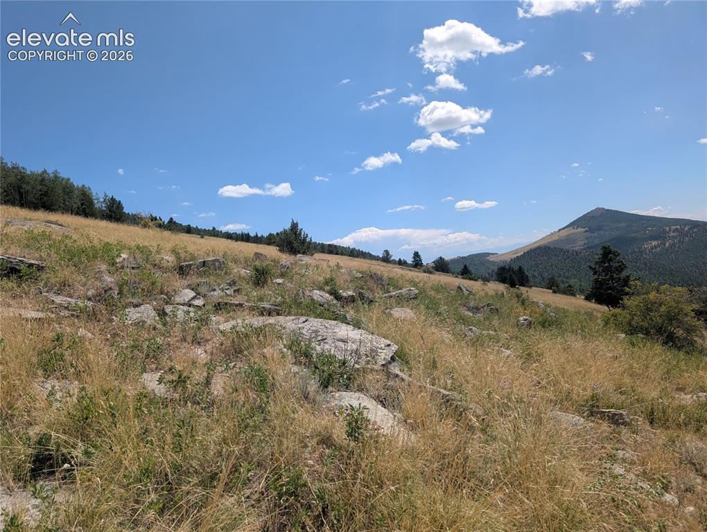 Mystic Valley Heights Cripple Creek CO 80813