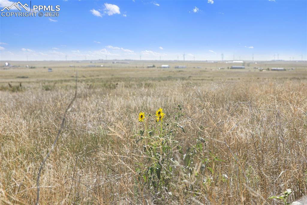 36290 Wagner Lane Calhan CO 80808