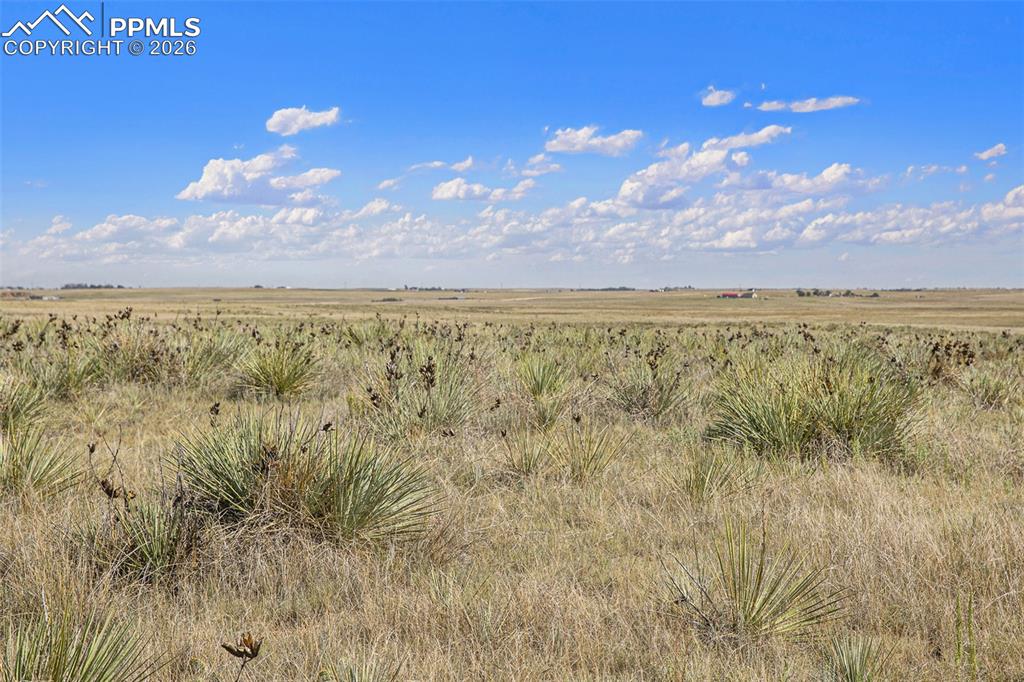 36290 Wagner Lane Calhan CO 80808