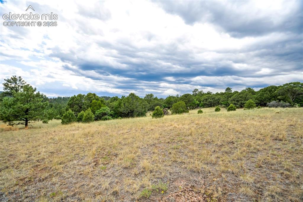 433 Antler Hill Trail Canon City CO 81212