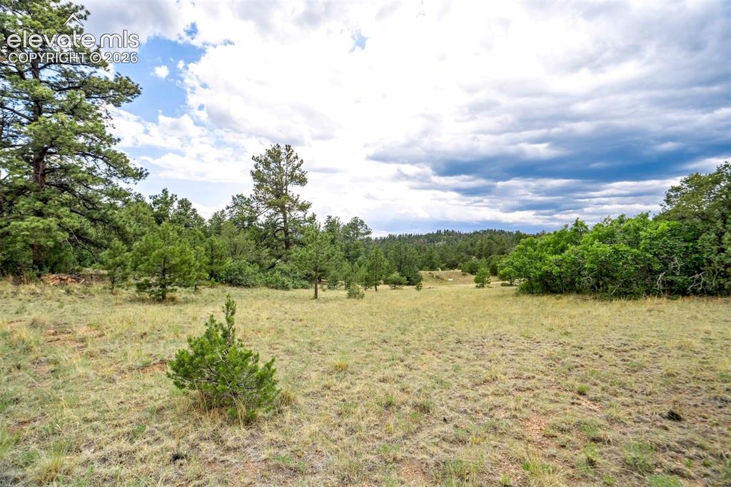 433 Antler Hill Trail Canon City CO 81212