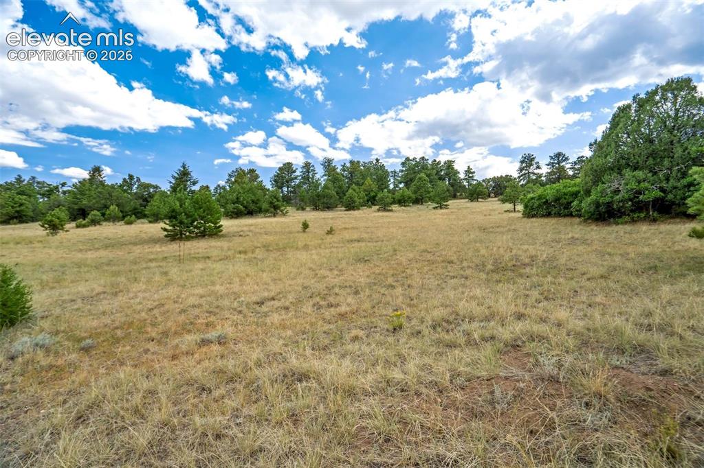433 Antler Hill Trail Canon City CO 81212