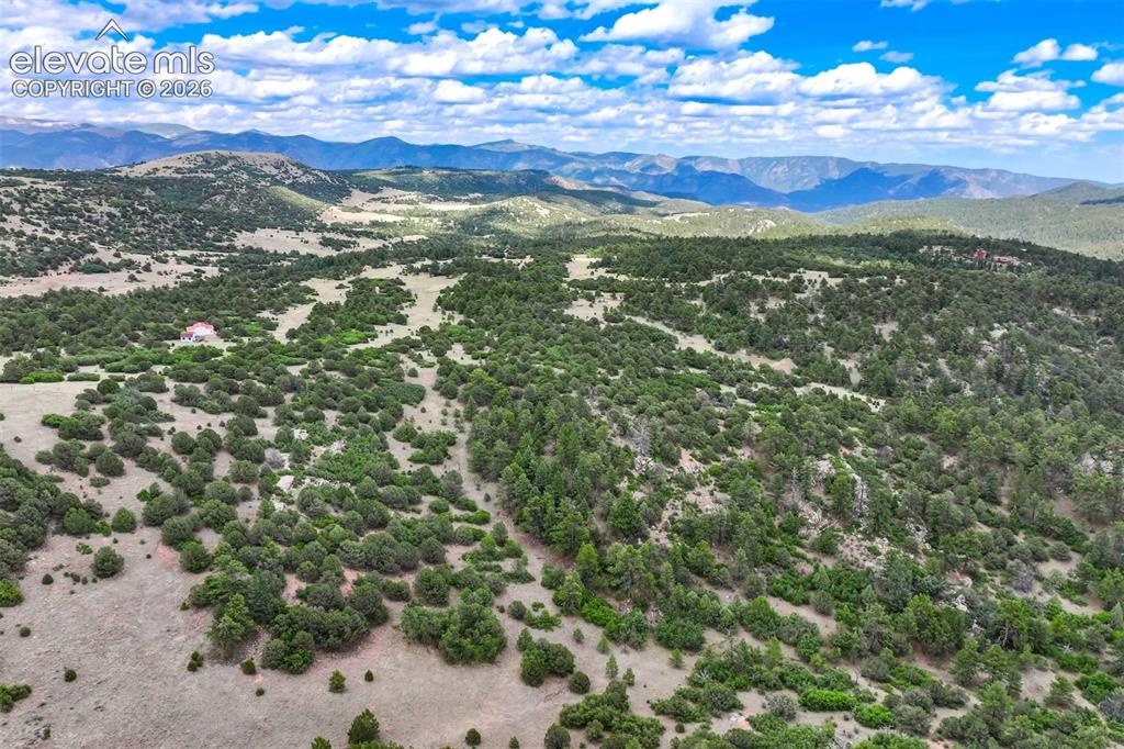 433 Antler Hill Trail Canon City CO 81212