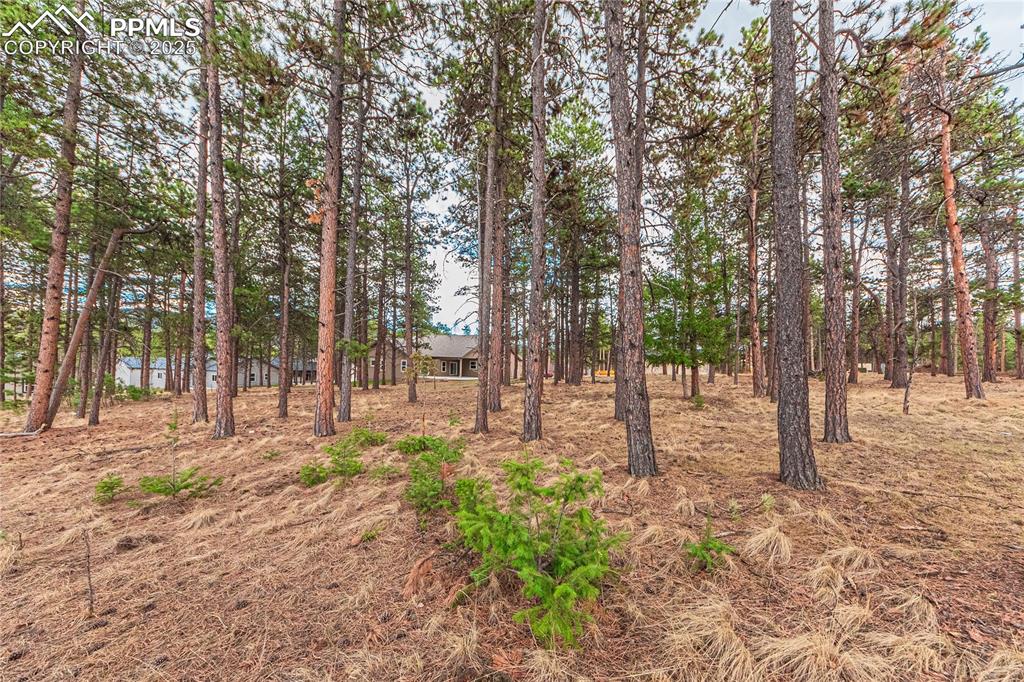 1290 Firestone Drive Woodland Park CO 80863