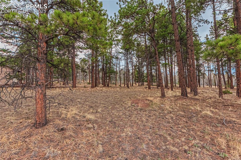 1290 Firestone Drive Woodland Park CO 80863