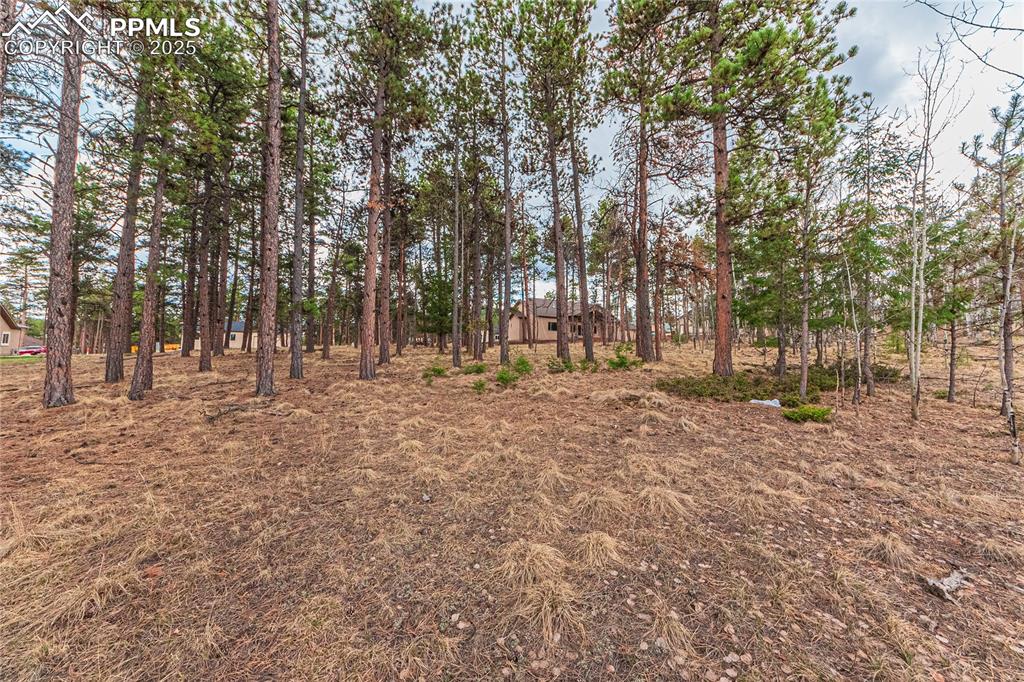 1290 Firestone Drive Woodland Park CO 80863