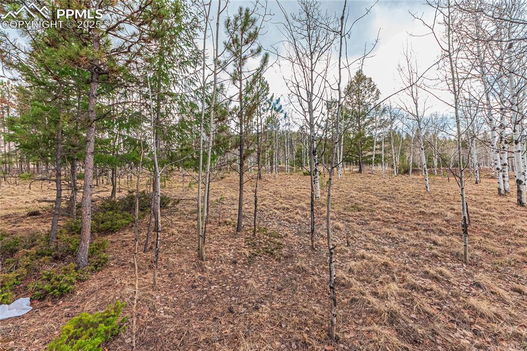 1290 Firestone Drive Woodland Park CO 80863