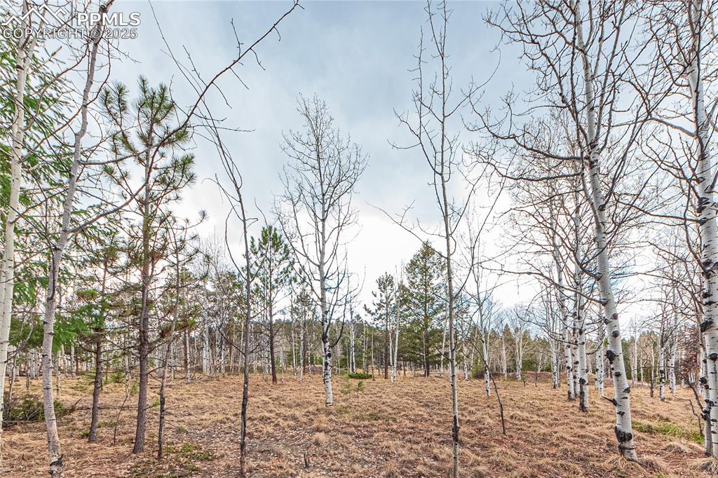 1290 Firestone Drive Woodland Park CO 80863