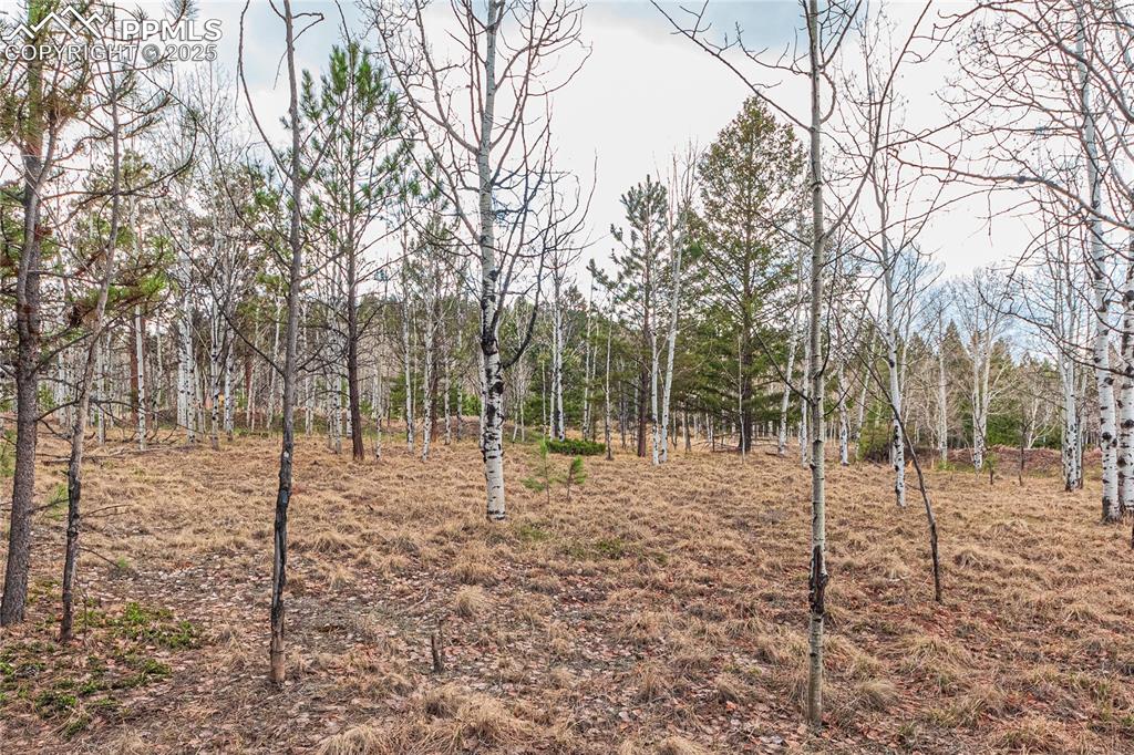 1290 Firestone Drive Woodland Park CO 80863