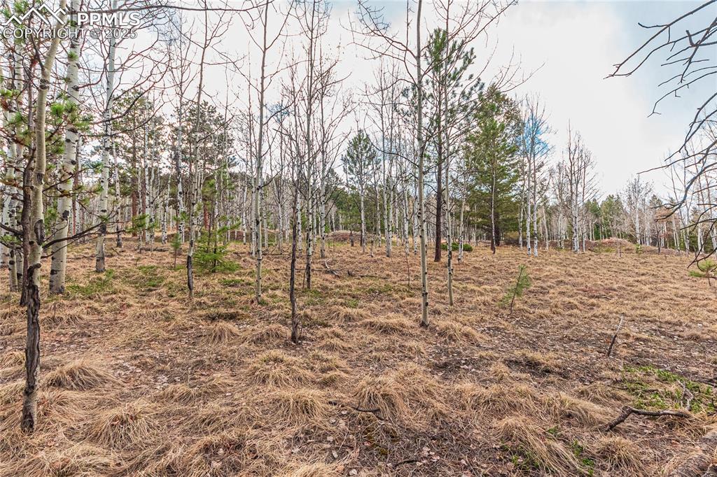1290 Firestone Drive Woodland Park CO 80863