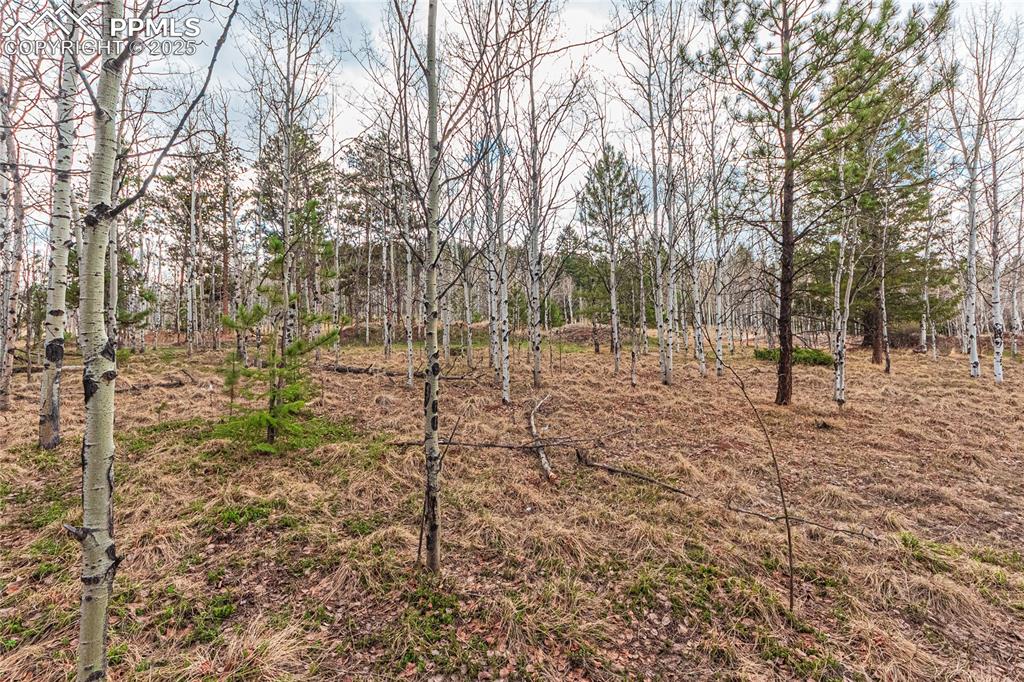 1290 Firestone Drive Woodland Park CO 80863