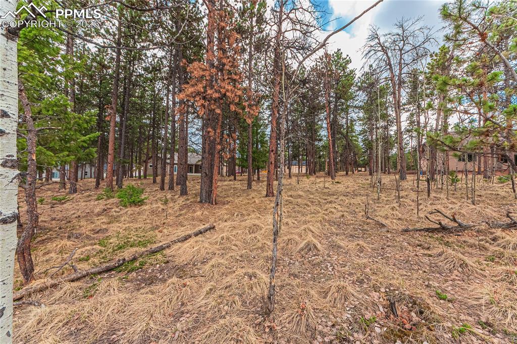 1290 Firestone Drive Woodland Park CO 80863