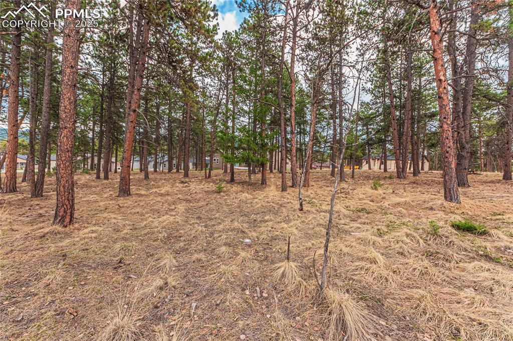 1290 Firestone Drive Woodland Park CO 80863