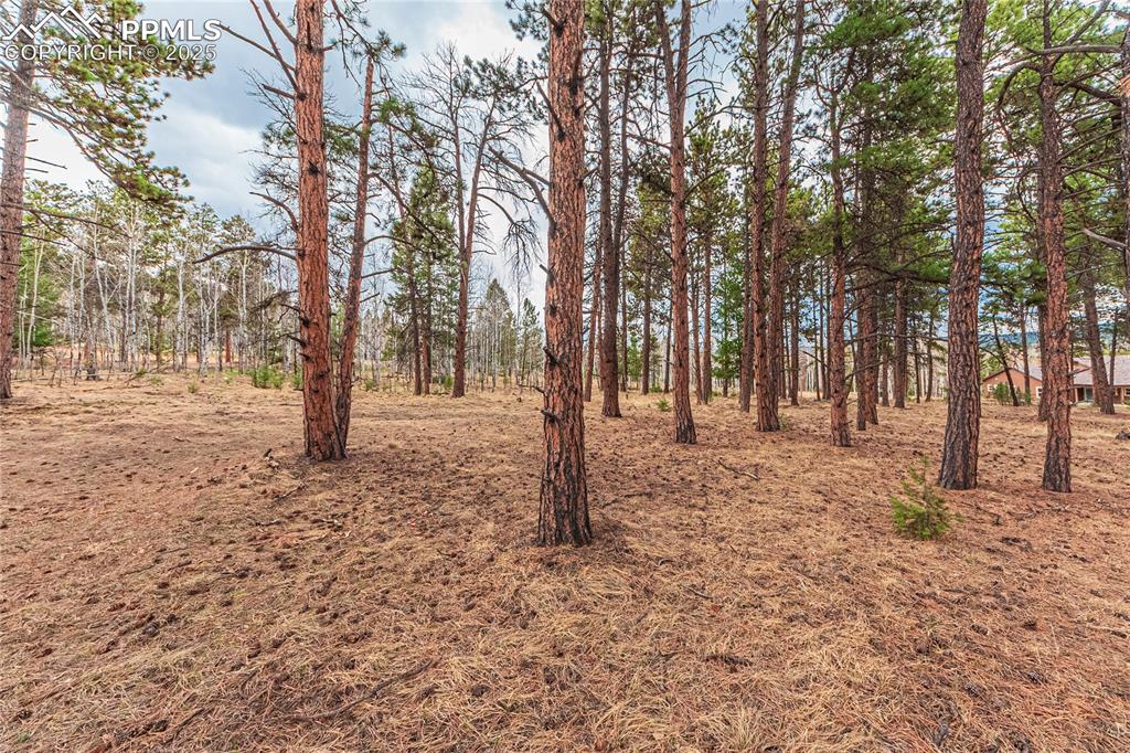 1290 Firestone Drive Woodland Park CO 80863