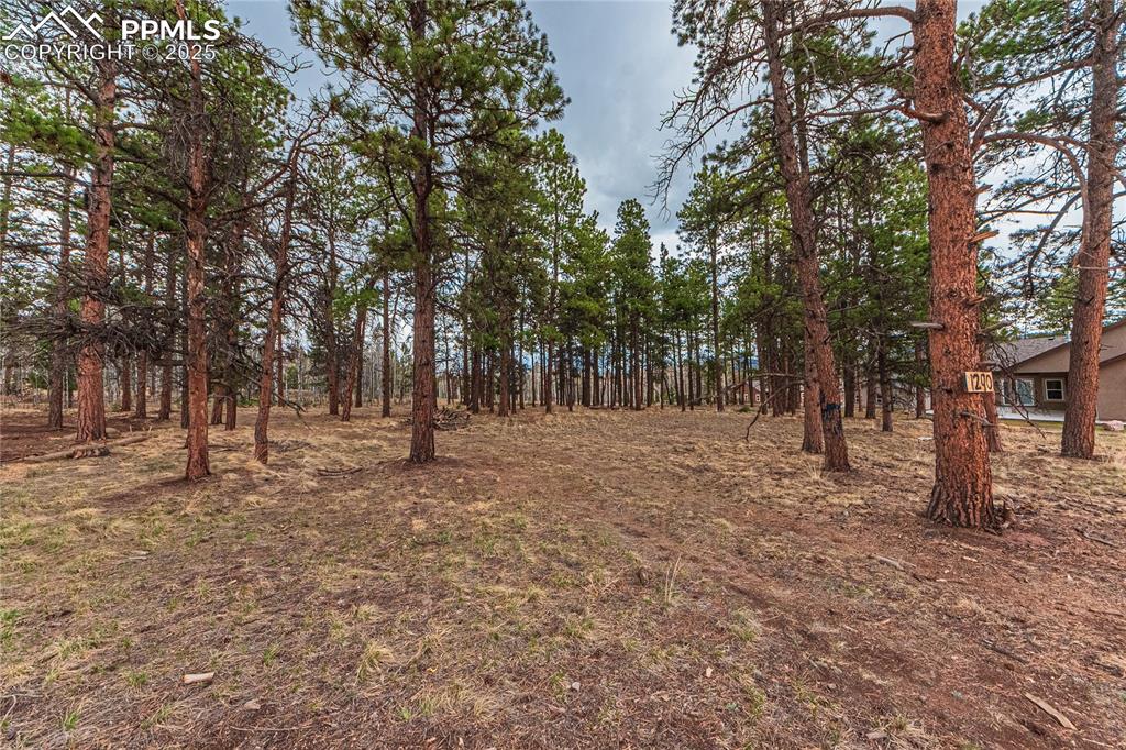 1290 Firestone Drive Woodland Park CO 80863