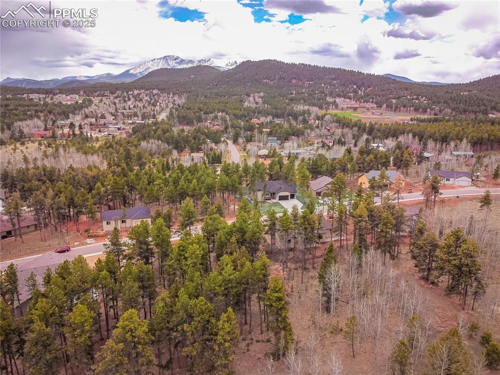 1290 Firestone Drive Woodland Park CO 80863