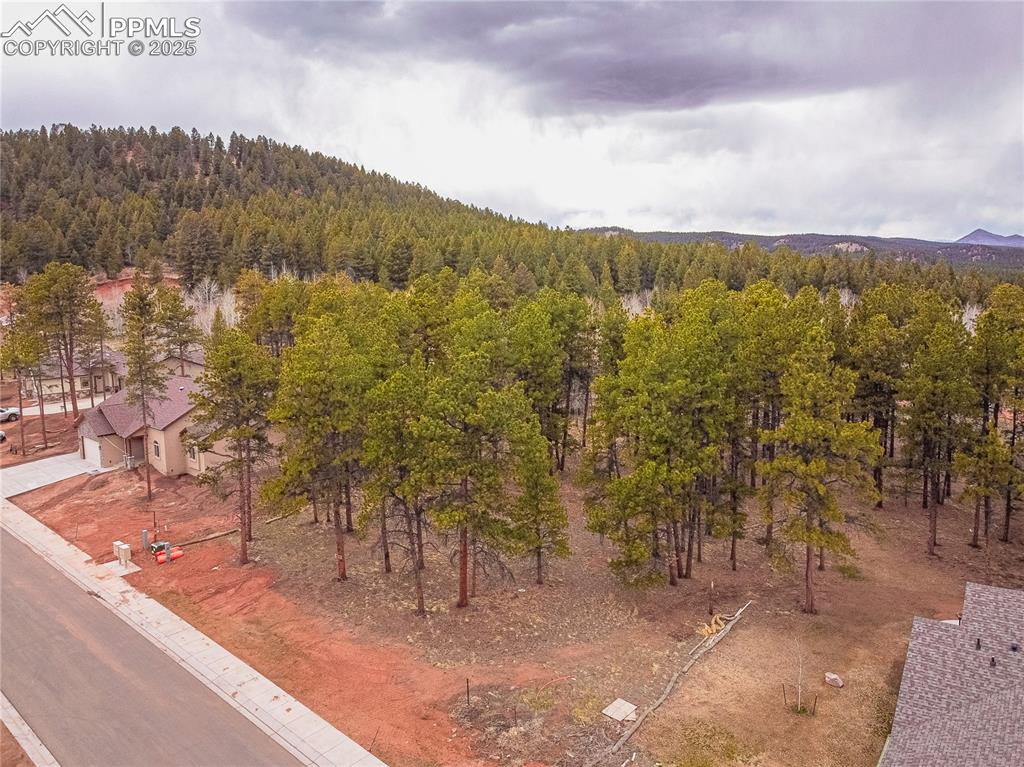 1290 Firestone Drive Woodland Park CO 80863