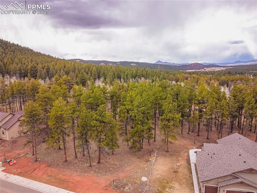 1290 Firestone Drive Woodland Park CO 80863