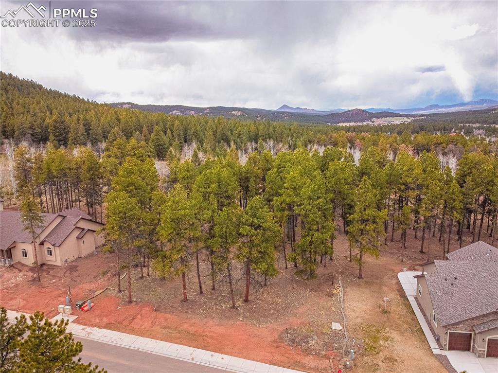 1290 Firestone Drive Woodland Park CO 80863