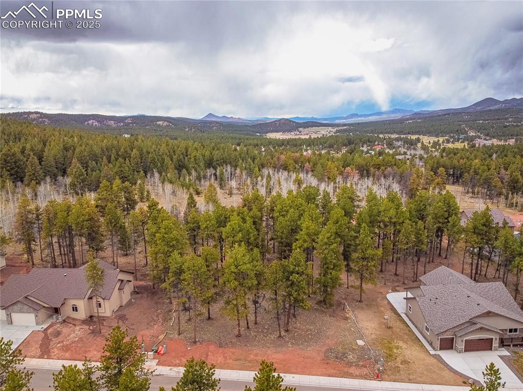 1290 Firestone Drive Woodland Park CO 80863
