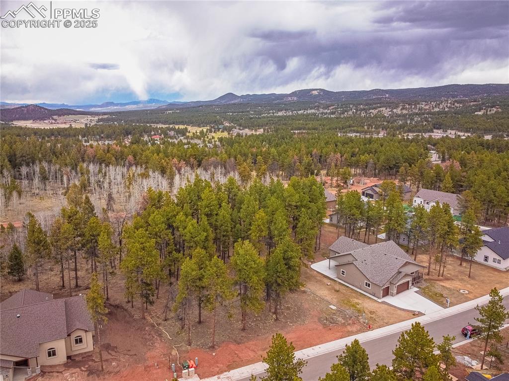 1290 Firestone Drive Woodland Park CO 80863