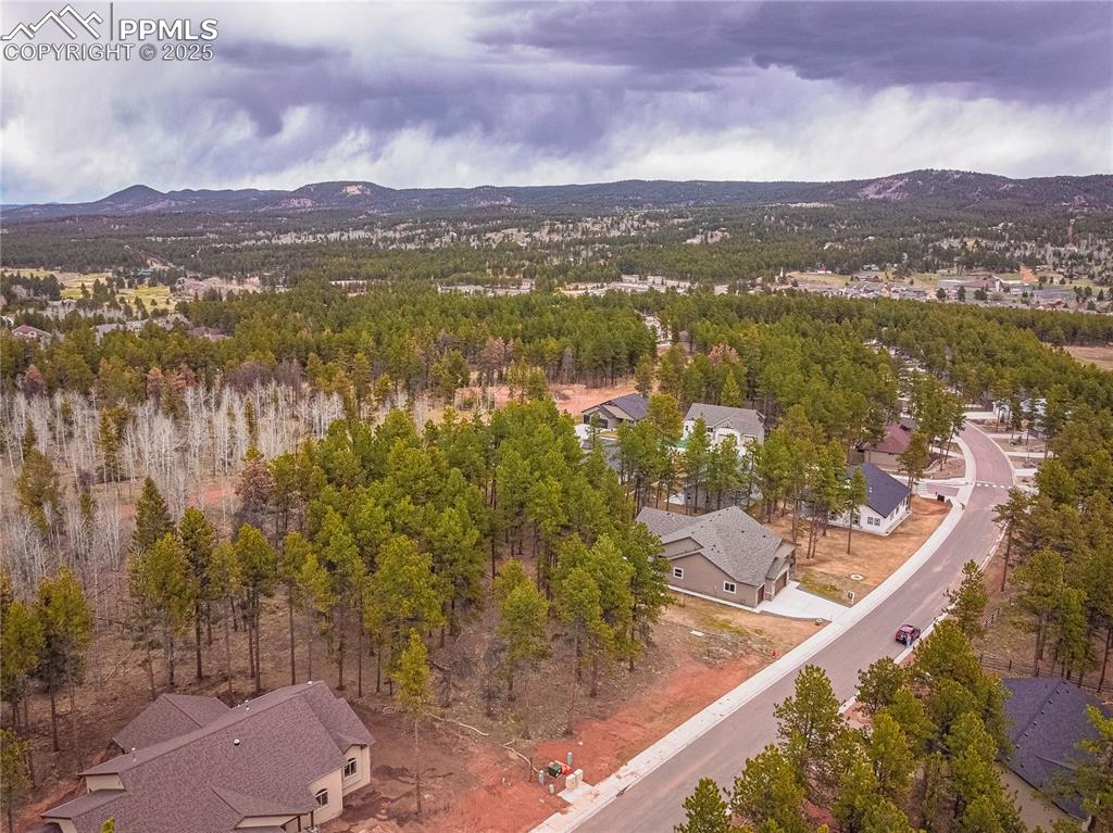 1290 Firestone Drive Woodland Park CO 80863