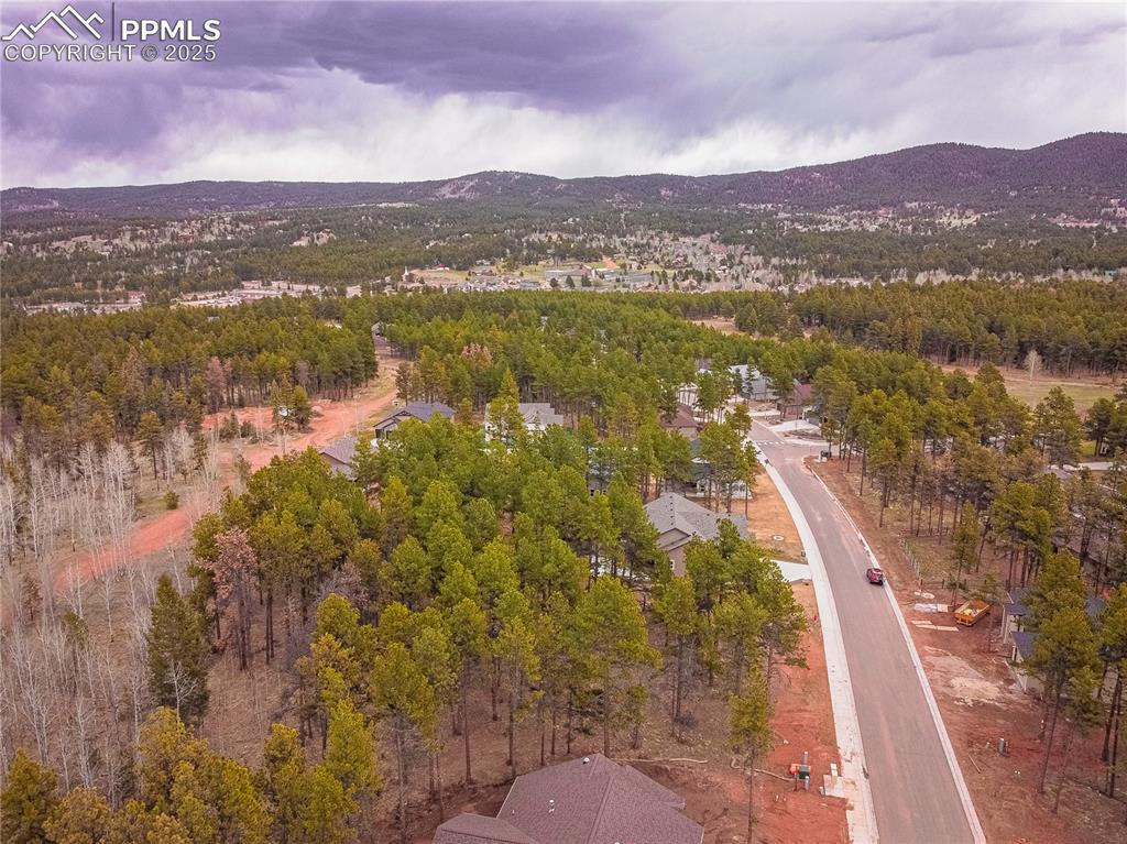 1290 Firestone Drive Woodland Park CO 80863