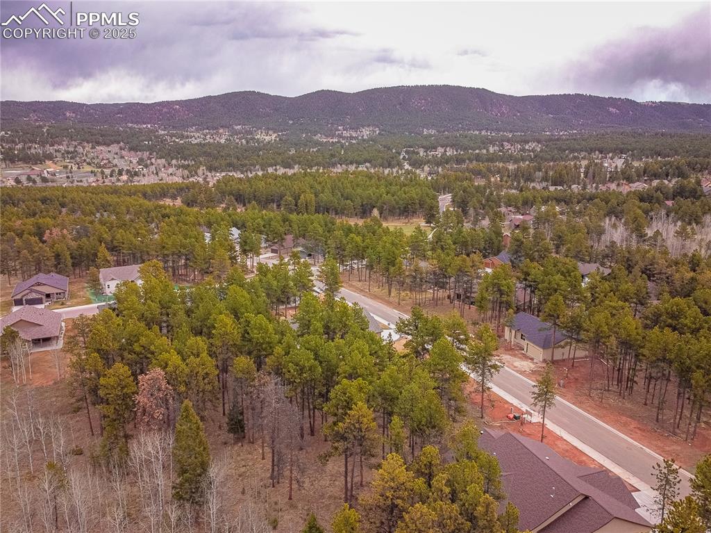1290 Firestone Drive Woodland Park CO 80863