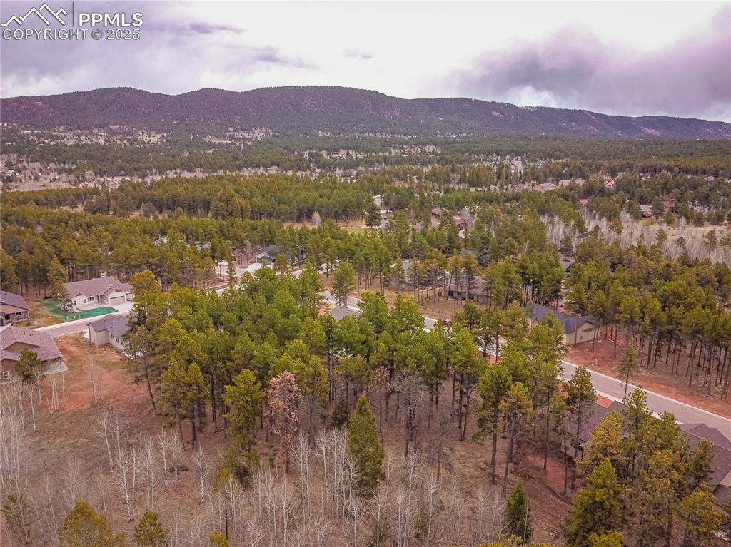1290 Firestone Drive Woodland Park CO 80863