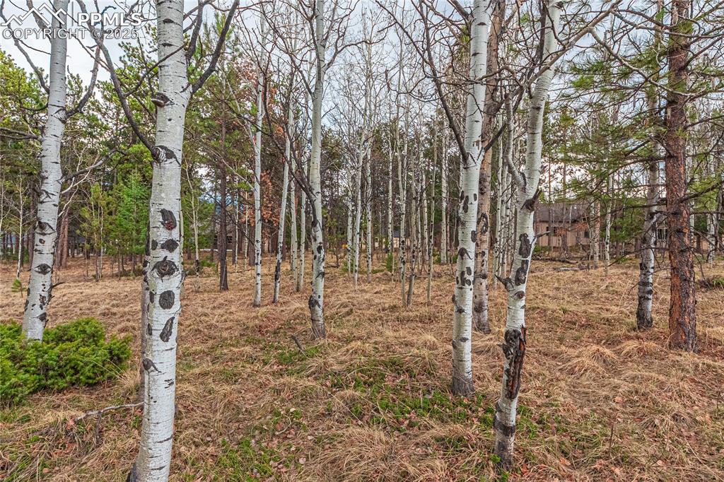 1290 Firestone Drive Woodland Park CO 80863