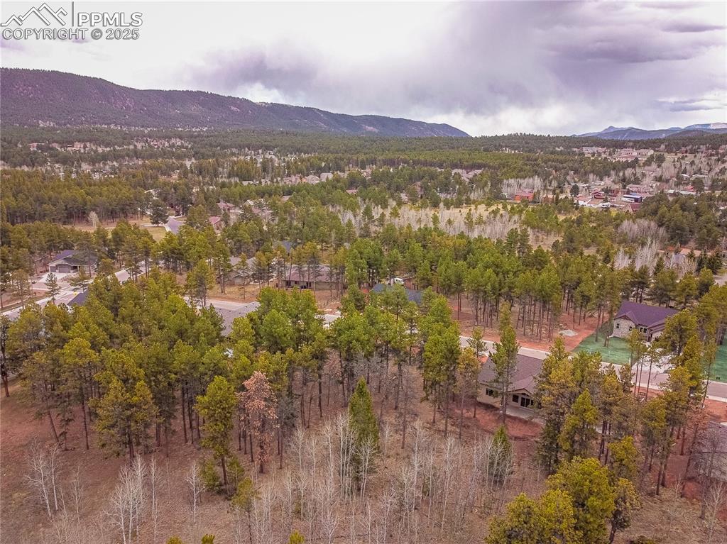 1290 Firestone Drive Woodland Park CO 80863