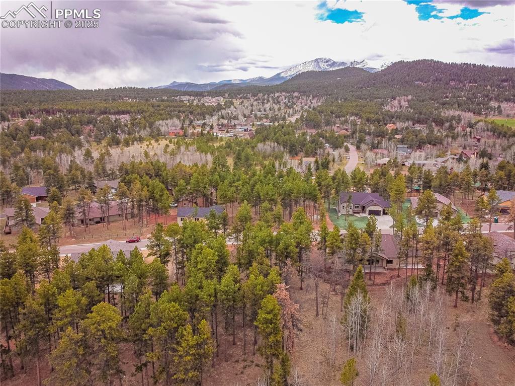 1290 Firestone Drive Woodland Park CO 80863