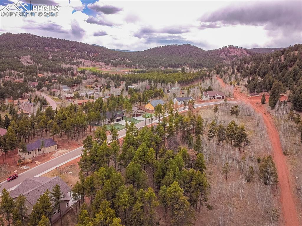 1290 Firestone Drive Woodland Park CO 80863