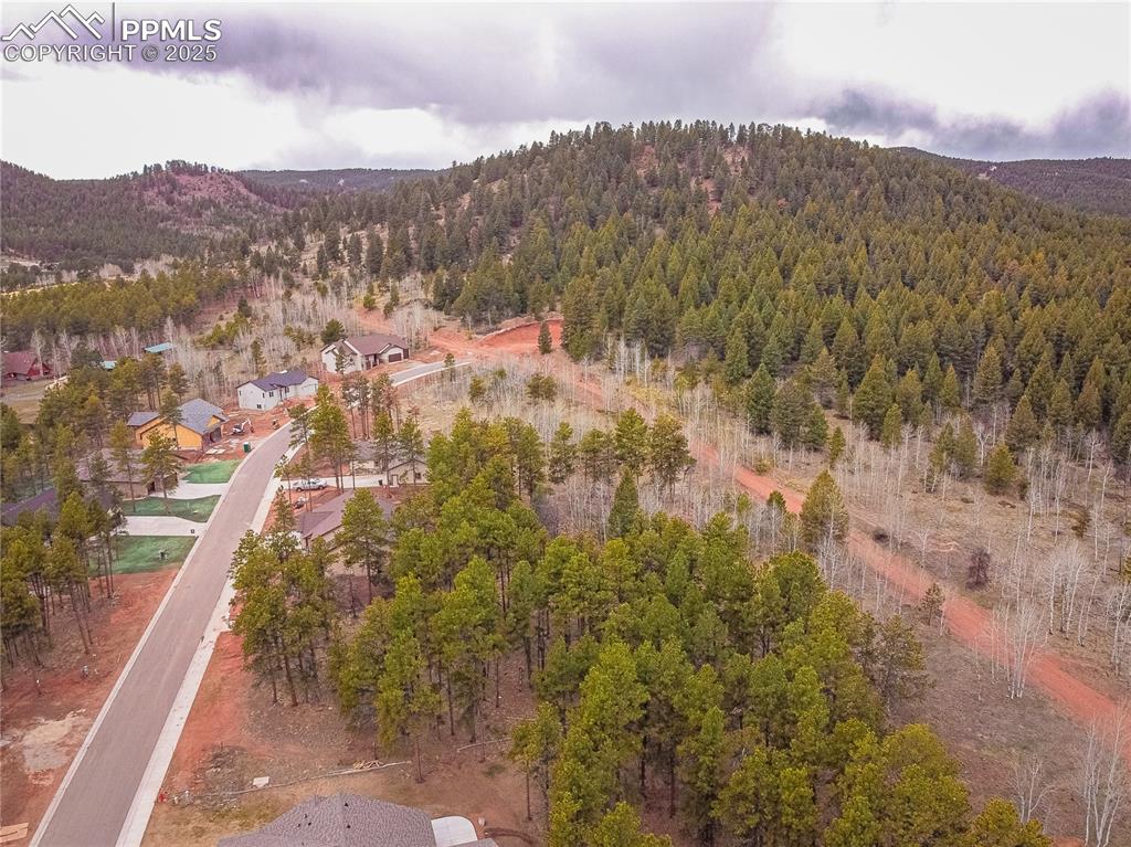 1290 Firestone Drive Woodland Park CO 80863