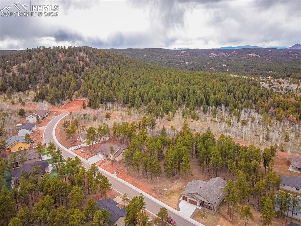 1290 Firestone Drive Woodland Park CO 80863