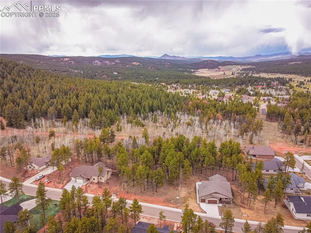 1290 Firestone Drive Woodland Park CO 80863