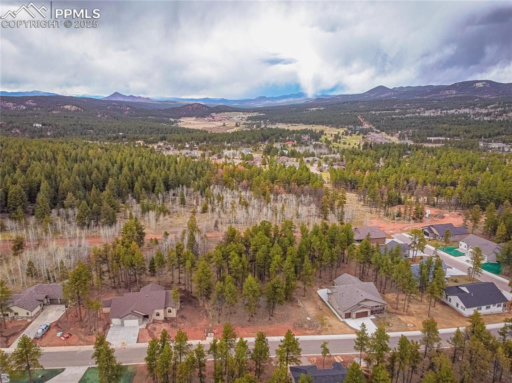1290 Firestone Drive Woodland Park CO 80863