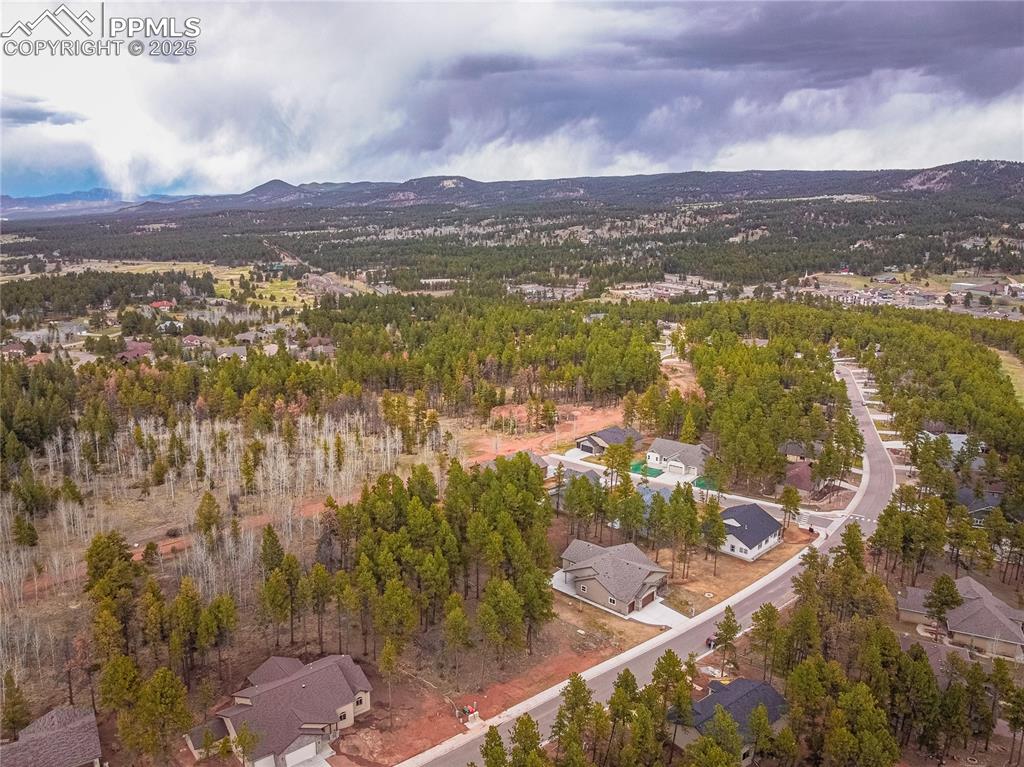 1290 Firestone Drive Woodland Park CO 80863