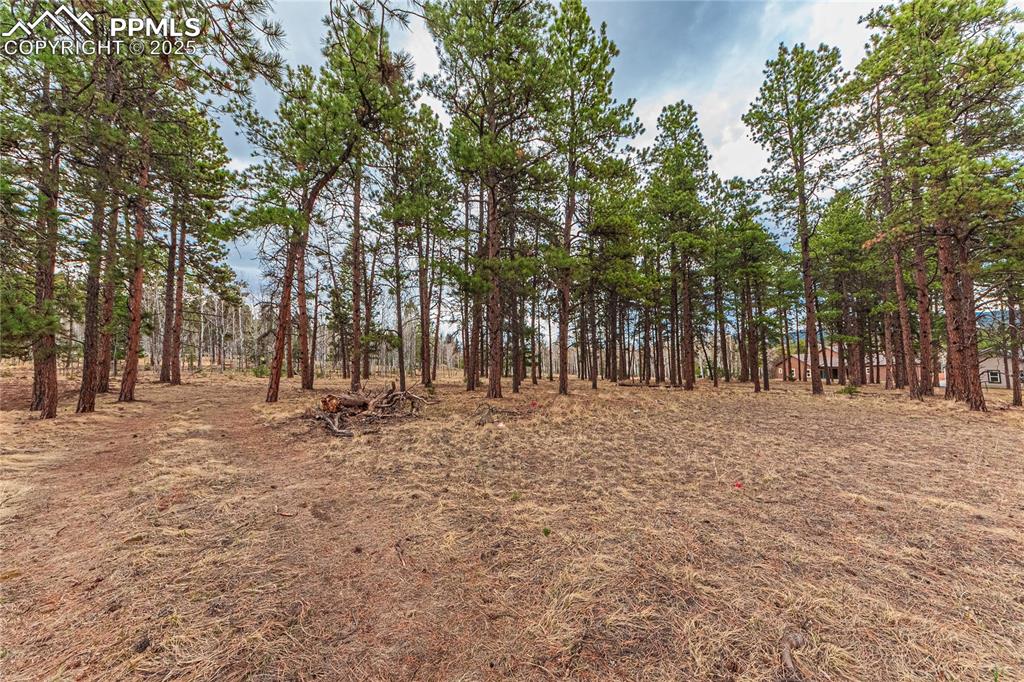1290 Firestone Drive Woodland Park CO 80863