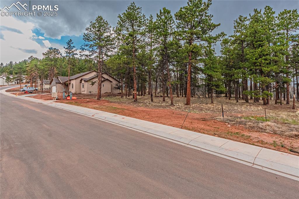 1290 Firestone Drive Woodland Park CO 80863