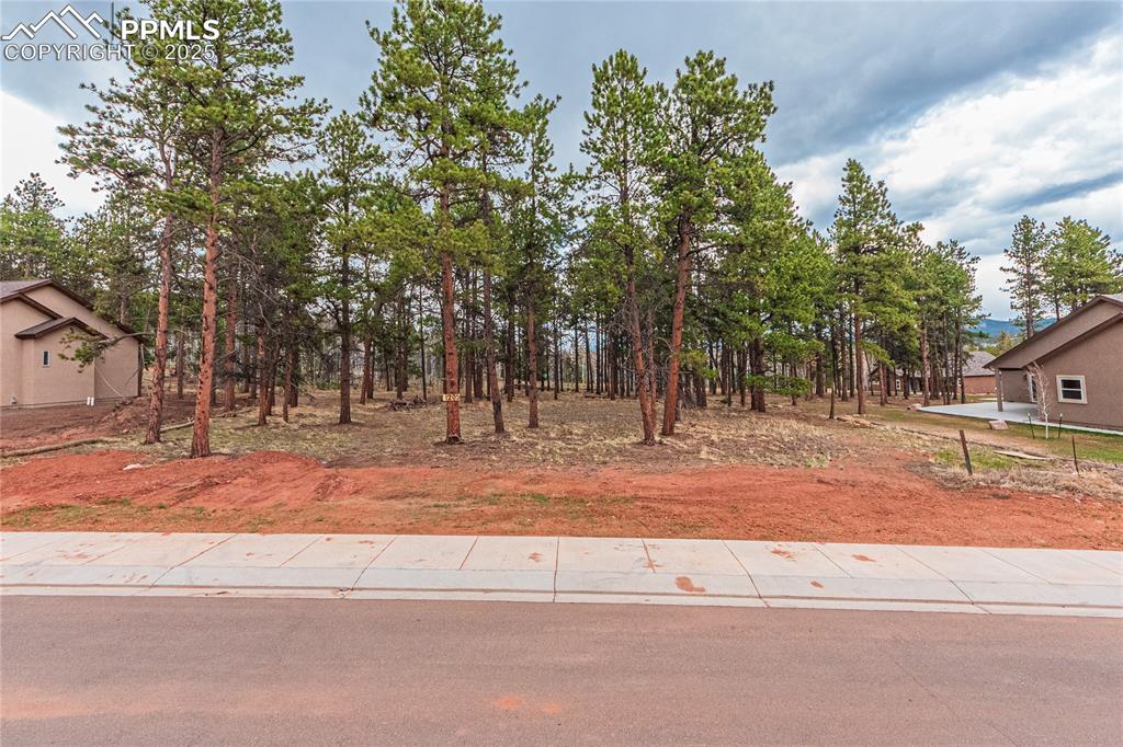 1290 Firestone Drive Woodland Park CO 80863