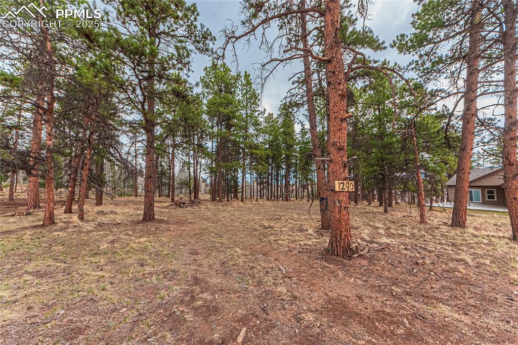 1290 Firestone Drive Woodland Park CO 80863